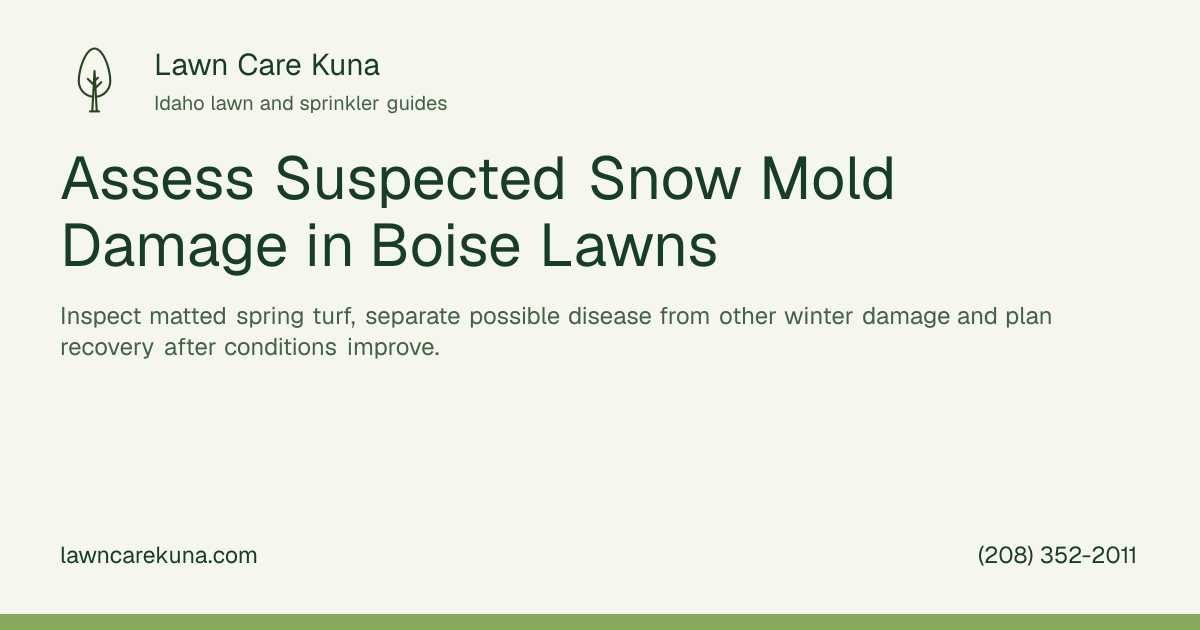 Lawn Care Kuna branded graphic: Assess Suspected Snow Mold Damage in Boise Lawns.