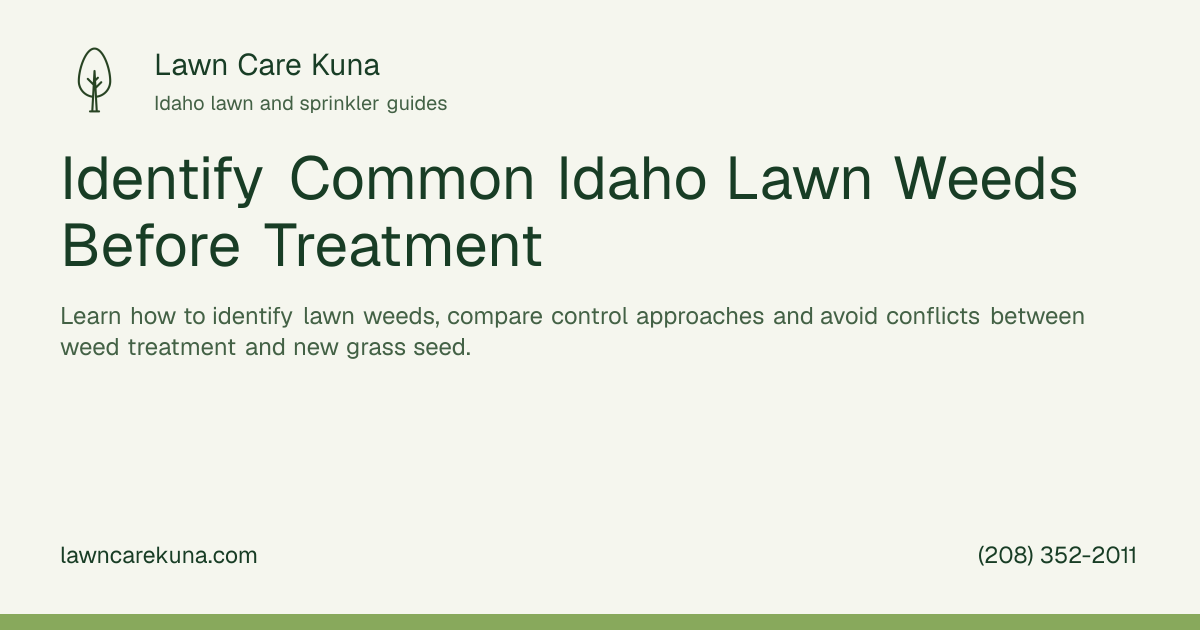 Lawn Care Kuna branded graphic: Identify Common Idaho Lawn Weeds Before Treatment.